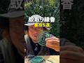 意外と知らないかも…!?#キャンプ #蚊取り線香