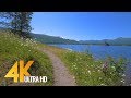 4k nature walk  45 hrs forestriver fabulous views with calm music and birds chirping