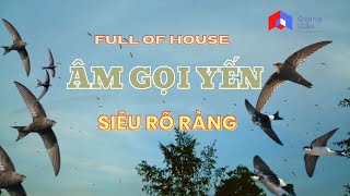 AM THANH DU YEN NGOAI TROI-RÚT CHIM YẾN VÀO NHÀ