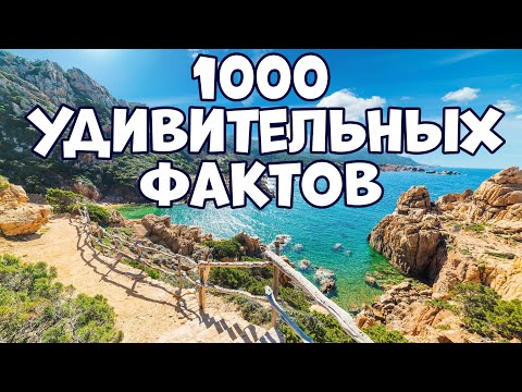 Видео: 1000 УДИВИТЕЛЬНЫХ ФАКТОВ, КОТОРЫЕ НЕ ВСЕМ ИЗВЕСТНЫ