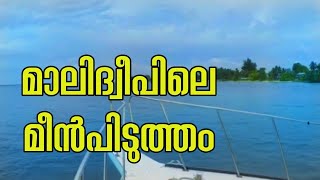 Maldives Fishing|Maldives boat cruise|Enjoying fishing in Addu Atoll #Maldives
