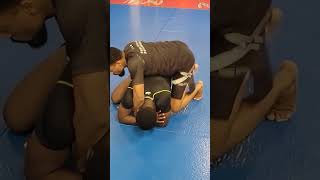 Rolling Armbar from turtle position nogi bjj