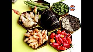 Vanuatu - Espiritu Santo island - part 2