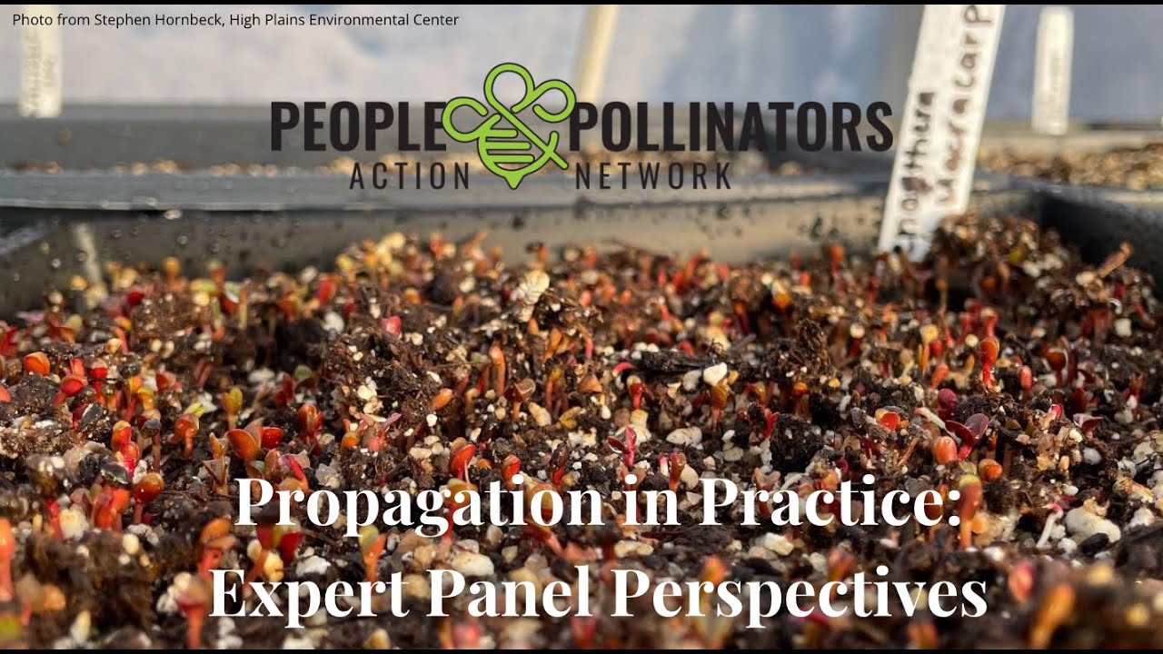 Propagation in Practice: Expert Panel Perspectives - YouTube