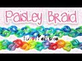 NEW Paisley Braid Rainbow Loom / Monster Tail Bracelet Tutorial | How To