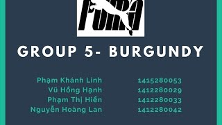 [E-Commerce] Group 5 - Burgundy | Case 1: Puma Goes Omni