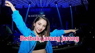 Download Lagu dj berbulu jarang jarang? yang lagi viral di TikTok MP3