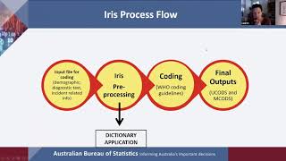 IRIS & ICD 11: Electronic foundations for mortality data
