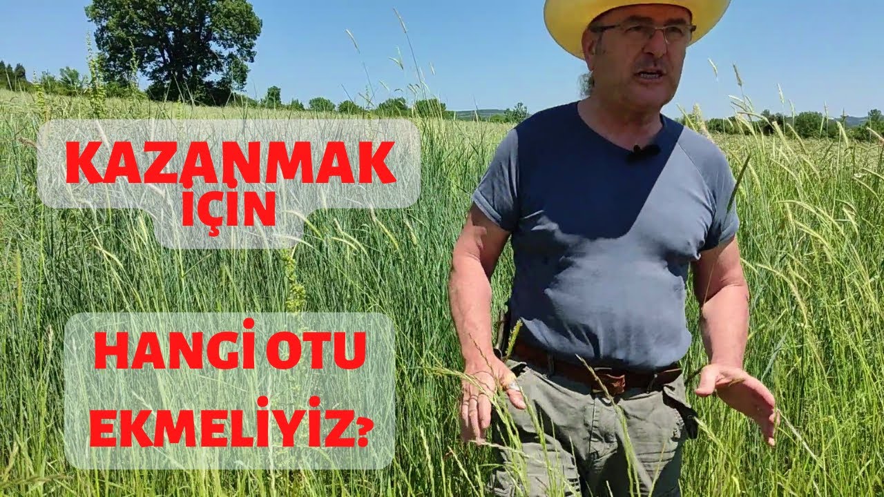 HANGİ OT CİNSİNİ EKMELİYİM? | NE YAPARSAM PARA KAZANIRIM | RYEGRASS VE DOĞAL OT VERİMLERİ VLOG 6