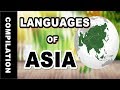 Languages of Asia (part 1) | Verbale Mondo