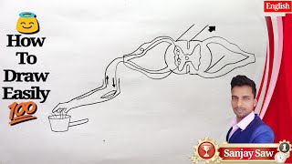 How To Draw Reflex Arc !