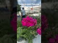 Любимый мой город ‼️