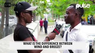 What's The Difference Between Wind And Breeze | Strivia | Pulse TV
