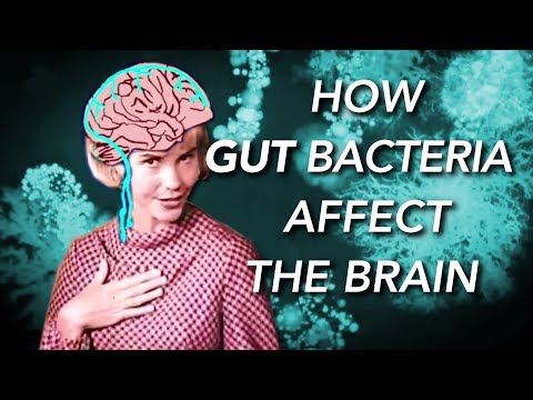 How the Gut Microbiome affects the Brain and Mind