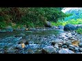 RELAXING SOUNDS FOR SLEEPING | BEAUTIFUL FLOWING STREAM IN NATURE FOR RELAXATION &amp; MEDITATION #b94