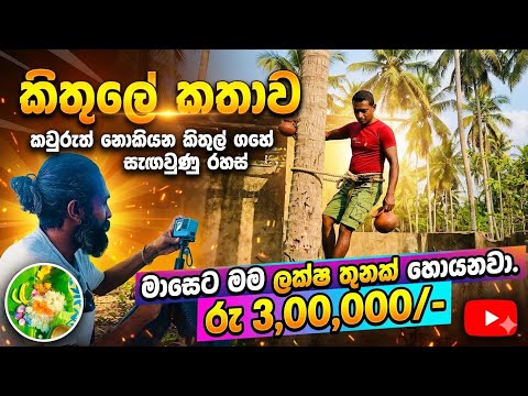 කවුරුත් නොකියන කිතුල් ගසේ සැඟවුණු රහස්! මසකට ලක්ෂ 3ක් හොයන හැටි 💰| #travel#VillageLife#vlog