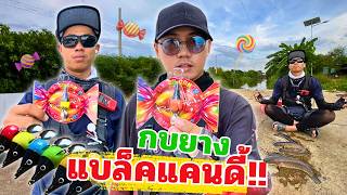 ตกปลาช่อนข้างทาง ด้วยกบยาง แบล็คแคนดี้!
