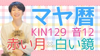 マヤ暦 Kin 129 赤い月 白い鏡 音12 あなたの使命はなんですか 開運ポイント Youtube