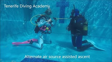 PADI Divemaster / PADI Instructor Skills - Alternate air source assisted ascent