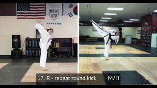 Purple Belt Form In Wha Il Jahng