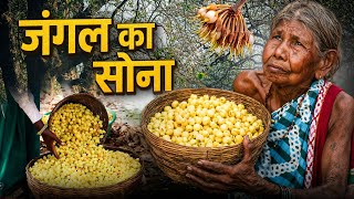 आदिवासियों का सोना ⚱️| Mahua Documentary 