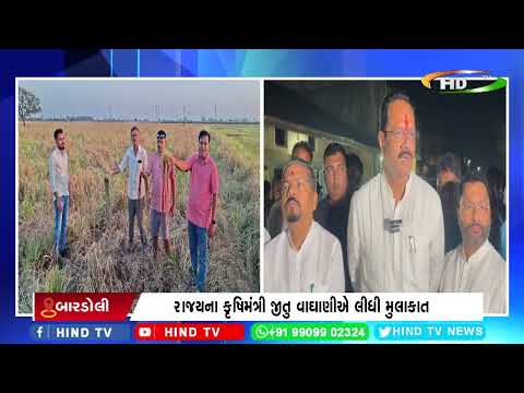 ગુજરાતના ૧૫ હજારથી વધુ ખેડૂતોની 40 લાખ હેક્ટરનો પાક નાશ