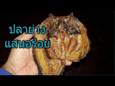 วิธีทำปลานิลย่าง ปลาย่างแสนอร่อย วิธีถนอมอาหารแบบโบราณ