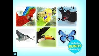 Bird Flock Bundle 2 - Unity Character Download