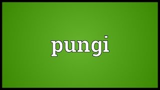 Pungi Meaning