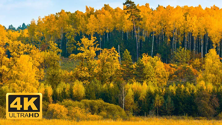 11 HOURS of 4K Enchanting Autumn Nature Scenes + Relaxing Piano Music for Stress Relief