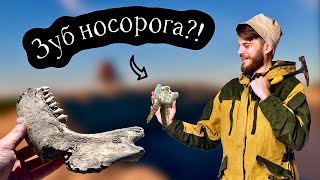 картинка: Окаменелости из ЛЕДНИКОВОГО ПЕРИОДА! Поиск костей МАМОНТА и мамонтовой мегафауны!