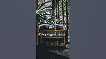 يا أيها الذين آمنوا اصبروا وصابروا ورابطوا تلاوة المنشاوي