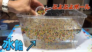 水飴に大量のぷよぷよボールぶっ込んで見た!!【実験】 PDS