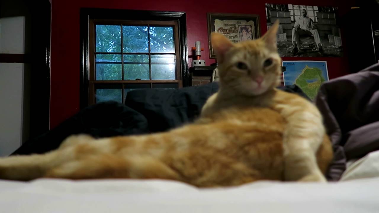 Finally Raining - YouTube