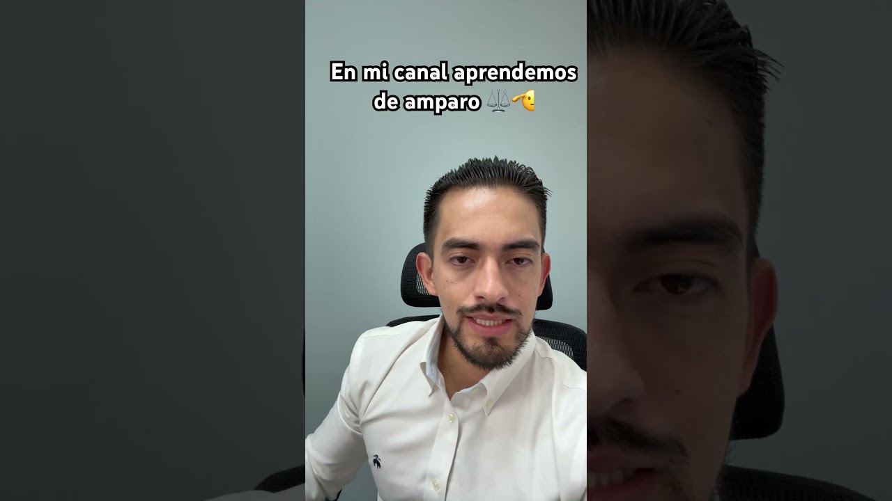 Plazos amparo directo penal 