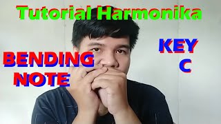 Download Lagu Tutorial harmonika bending MP3