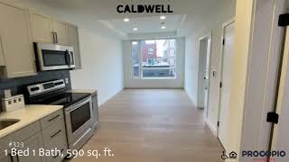 1 Bed 1 Bath 590 Sq. Ft. Apartment at Caldwell in Lynn, MA (S1B-1)