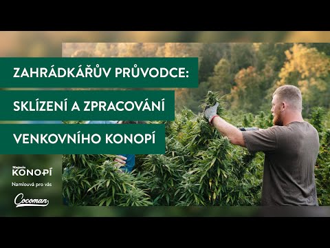 Video: Průvodce podzimními barvami podle jednotlivých států