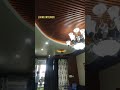 wpc Louvers panel ceiling|false ceiling design ideas