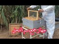 طريقة استخدام جهاز جمع سم النحل و فوائد سم النحل الجزء الاول تربية النحل النحل 
