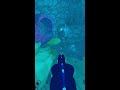 road to 1000 subs•playing new ug update with my community