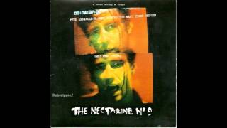 The Nectarine No. 9 - This Arsehole's Been Burned Too Many Times Before (1994)