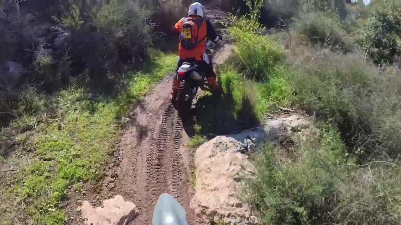 בן שמן אחרי הגשם תענוג