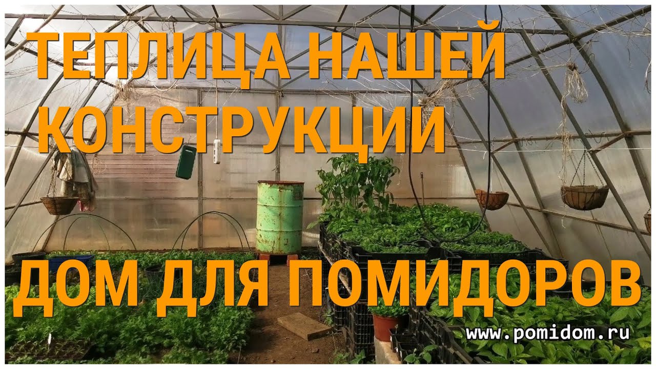 Атомный Виноград Бреда Фото Атомный Виноград Бреда Фото