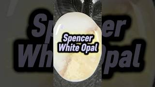 Spencer Idaho Opal #teamrockit #opals #pinkopal #lapidary #whiteopal #spenceropal #idaho