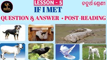 If I Met Class 4 English Lesson 5 Question Answer Post Reading ODIA MEDIUM SCHOOL STUDENTS
