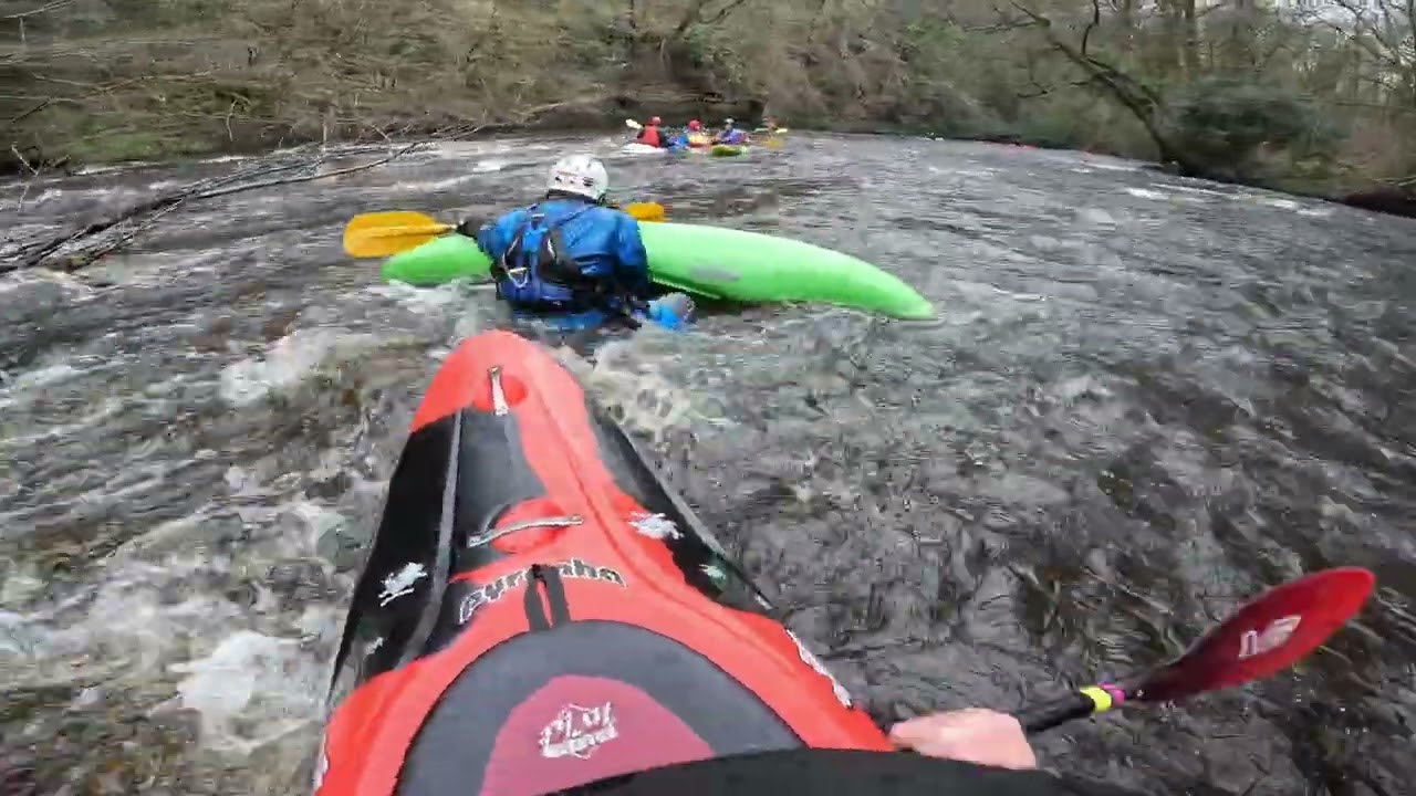 River Nidd .59 (Killinghall to Knaresborough) 18 Feb 26