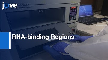 Mass Spectrometry-based Identification of RNA-binding Regions | Protocol Preview