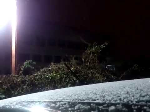 첫 눈 내리는 2011년 11월 25일 새벽.