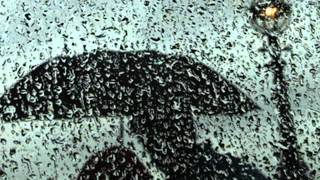 Reflection in Rain